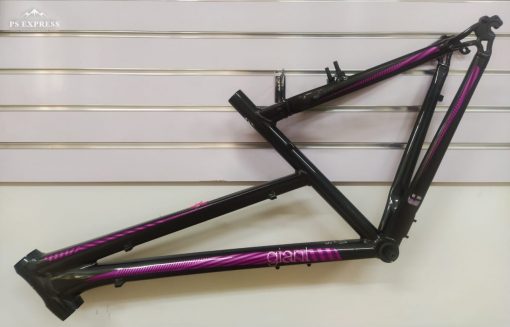 Giant Roam Frame