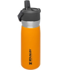 THE ICEFLOW FLIP STRAW WATER BOTTLE | 22 OZ