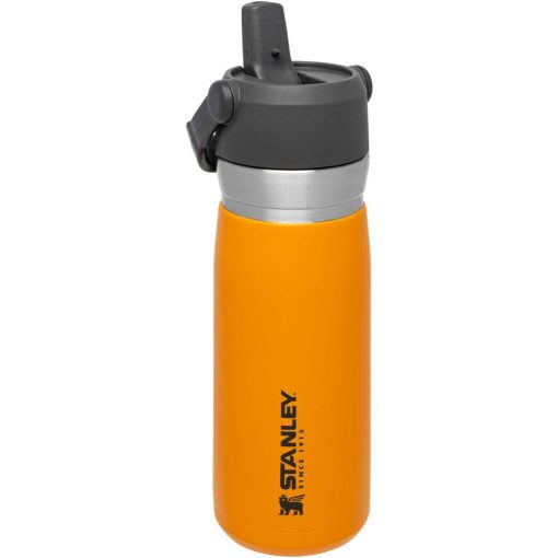 THE ICEFLOW FLIP STRAW WATER BOTTLE | 22 OZ